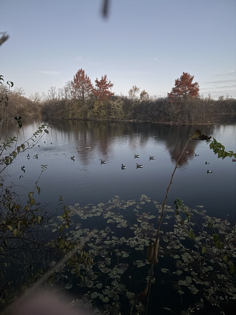 Hunter in camouflage standing in a duck blind among reeds at Deer Creek Recreation Club