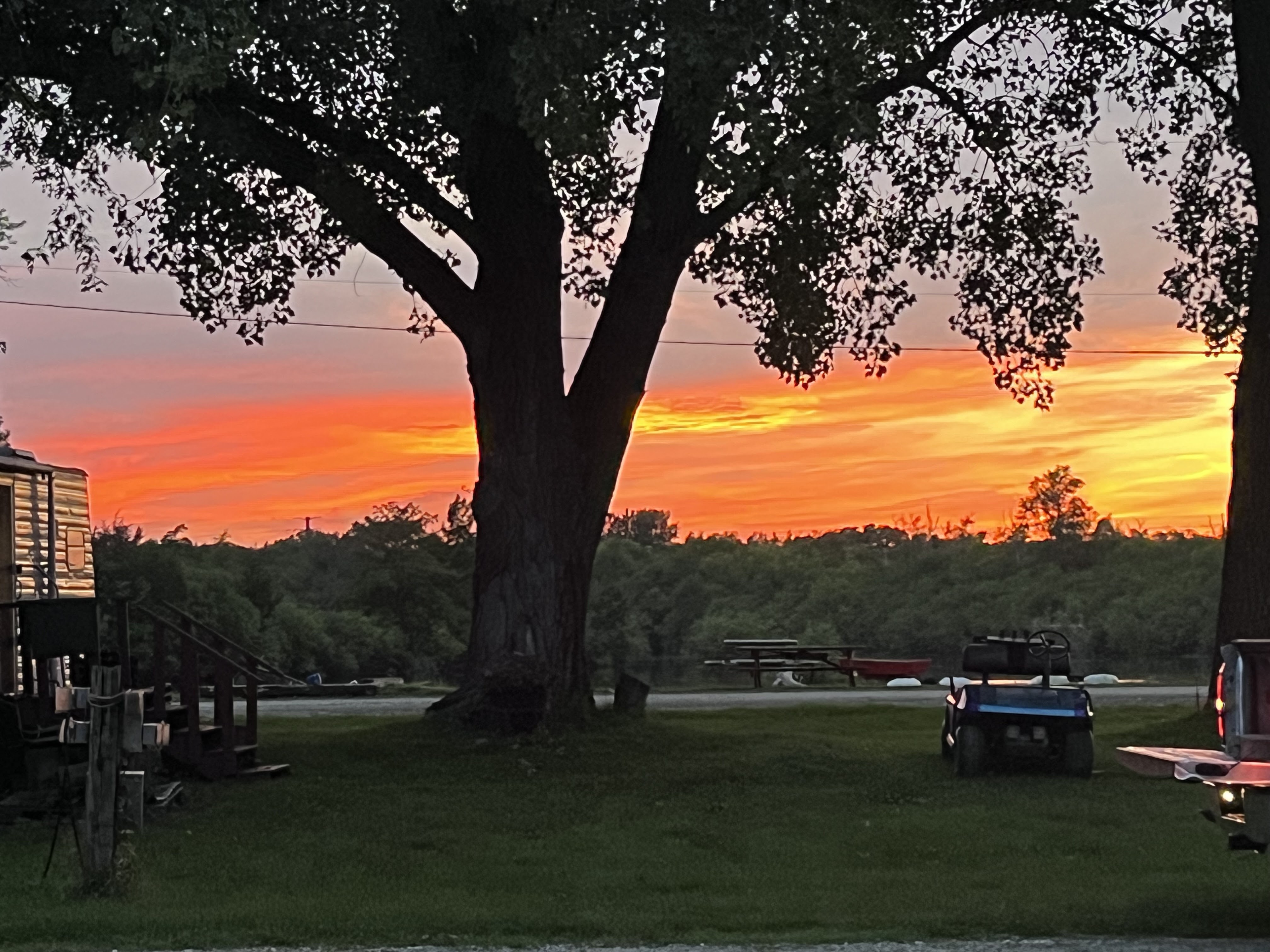 Golden orange sunset through a large oak tree at the Deer Creek Recreation Club campground lakeside