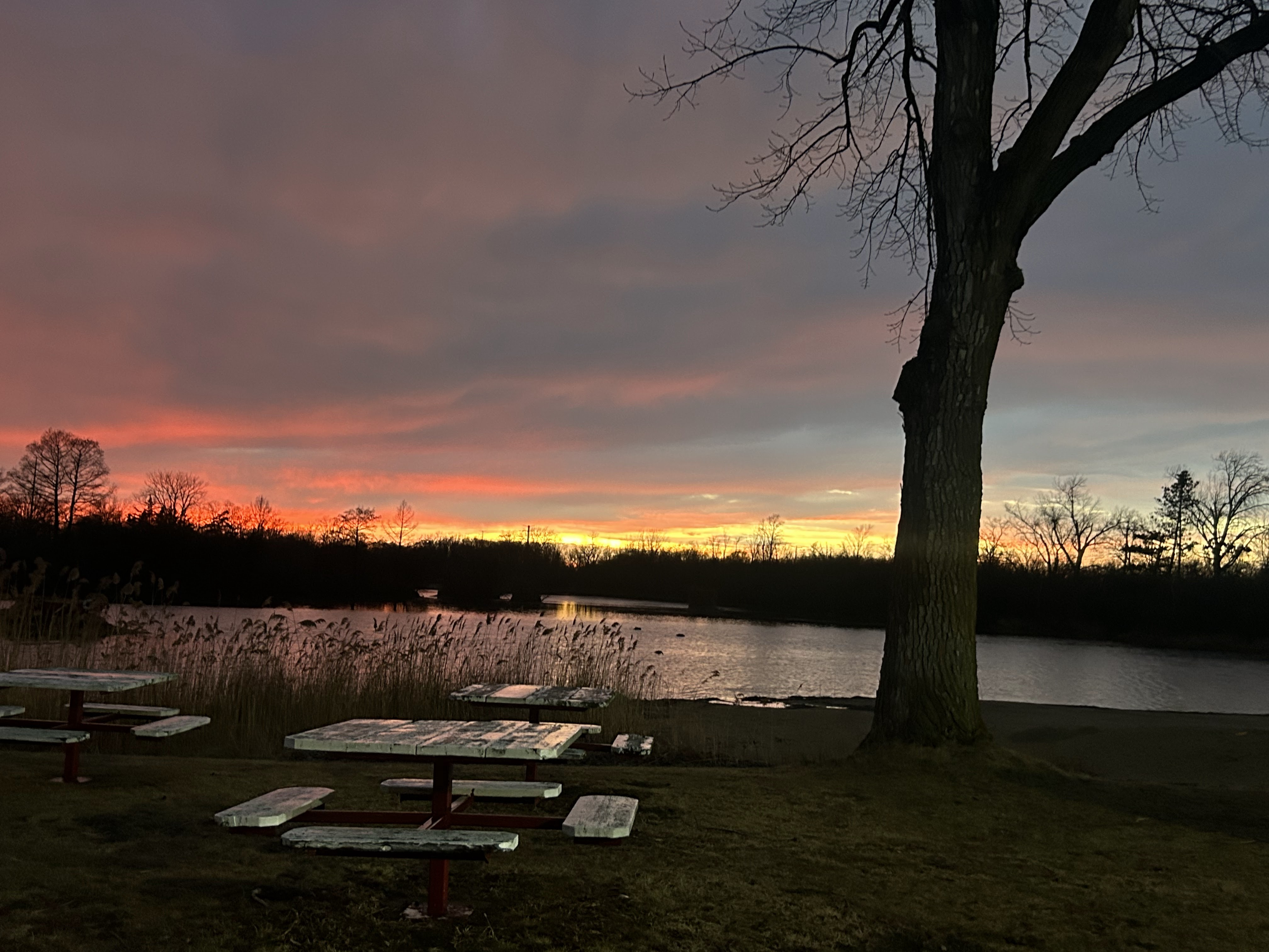 Picnic tables beside Deer Creek Lake at a vivid red and orange sunset in Illinois